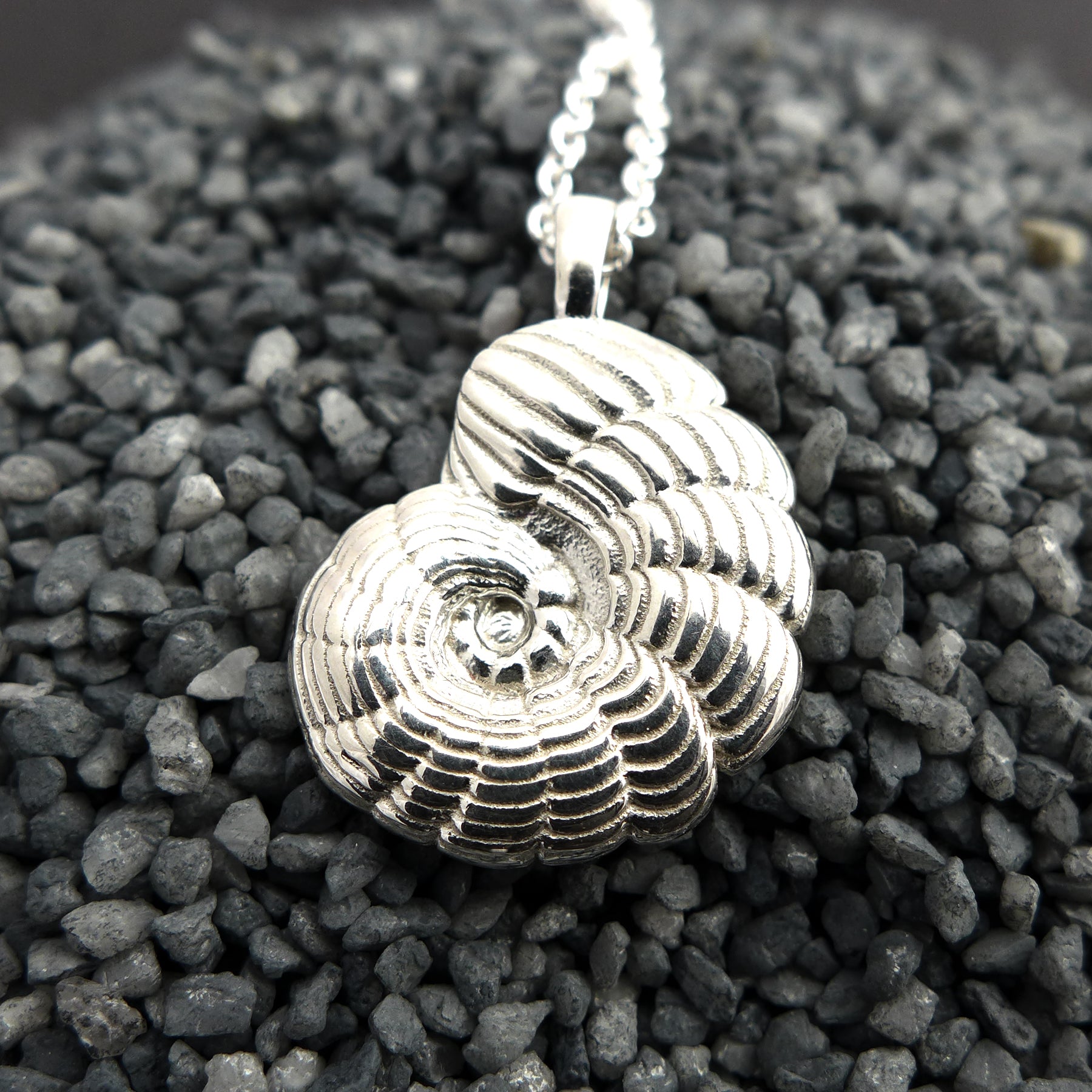 Fossil Protist Jewelry