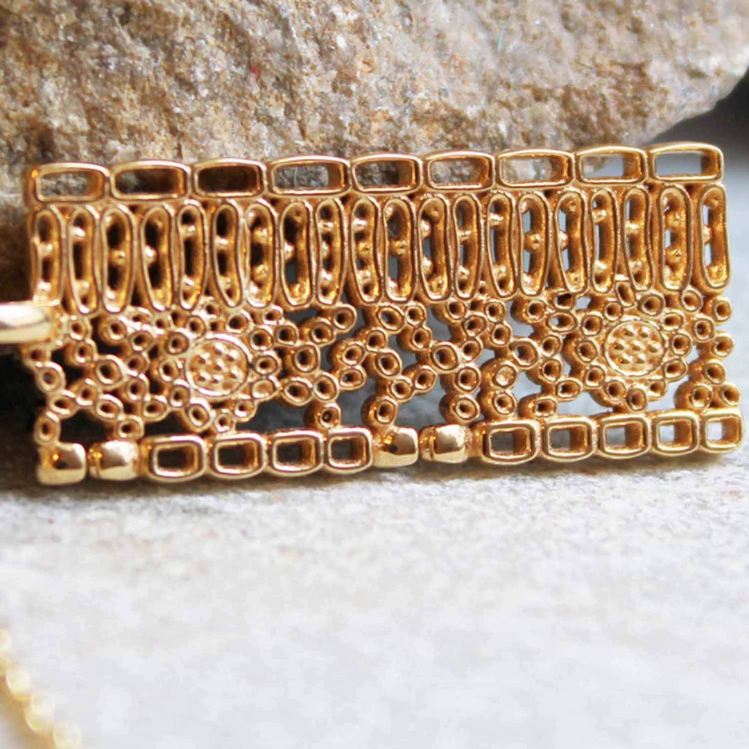 dicot leaf anatomy pendant Ontogenie