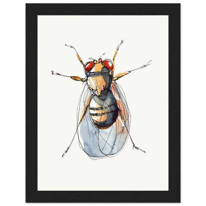 framed print of drosophila painting by ontogenie7f8