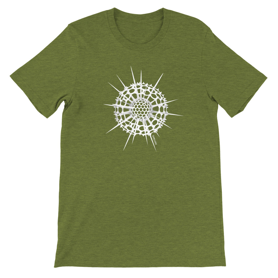 radiolaria t-shirt in heather green by ontogenie