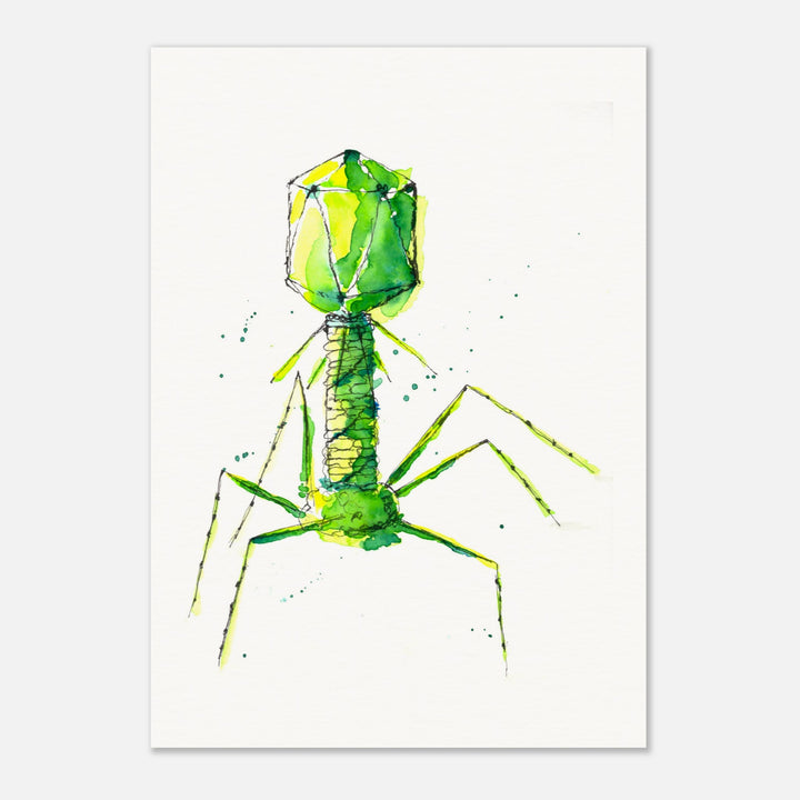 bacteriophage watercolor art print by ontogenie
