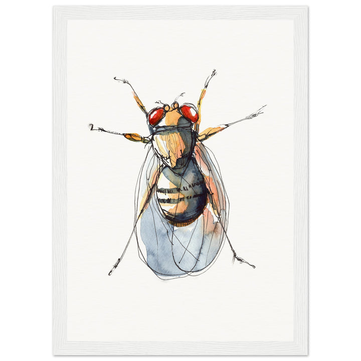 framed print of drosophila painting by ontogenie48