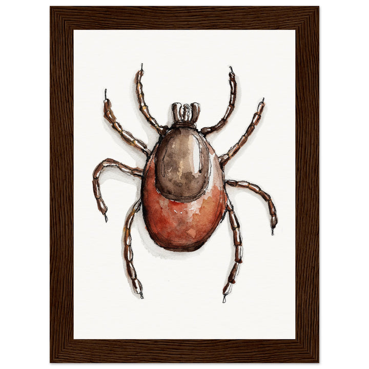 framed print of deer tick ixodes watercolor painting by ontogenie