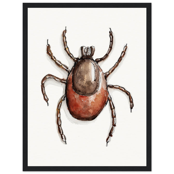 framed print of deer tick ixodes watercolor painting by ontogenie