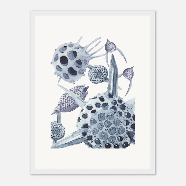 radiolaria watercolor painting framed print by ontogenie
