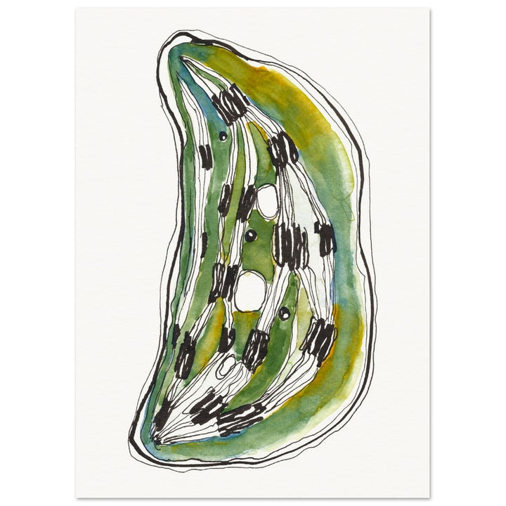 chloroplast art print by ontogenie