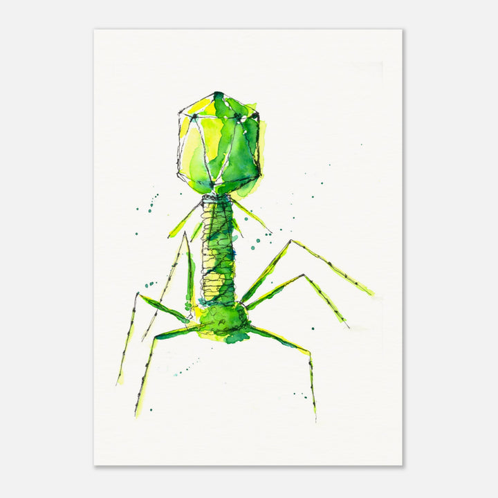 bacteriophage watercolor art print by ontogenie