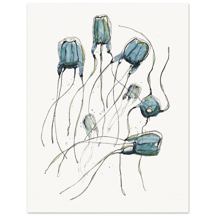 alatina box jellyfish watercolor art print by ontogenie