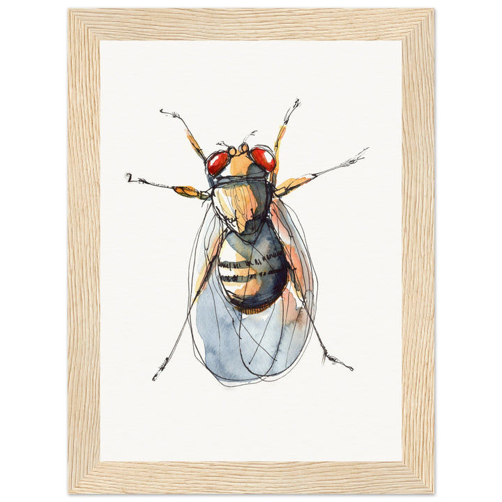 framed print of drosophila painting by ontogenie518e5