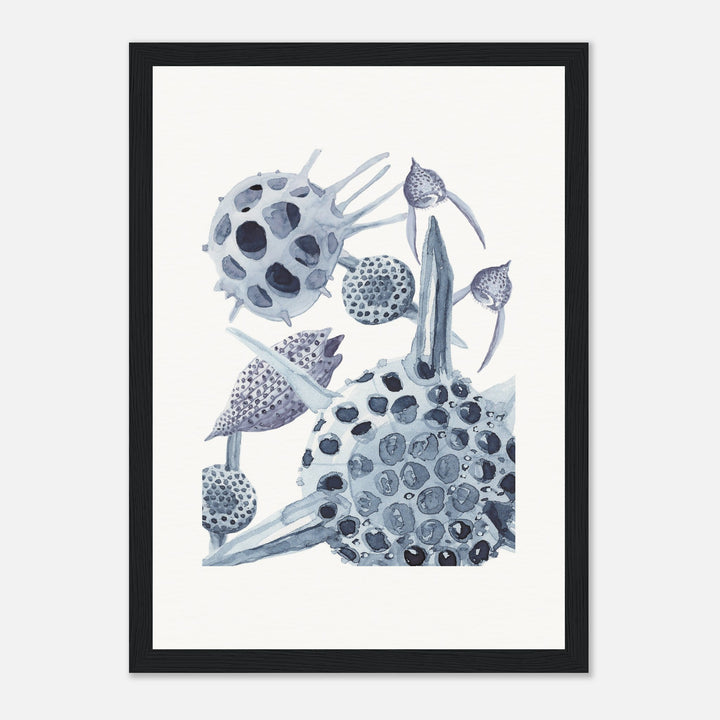 radiolaria watercolor painting framed print by ontogenie