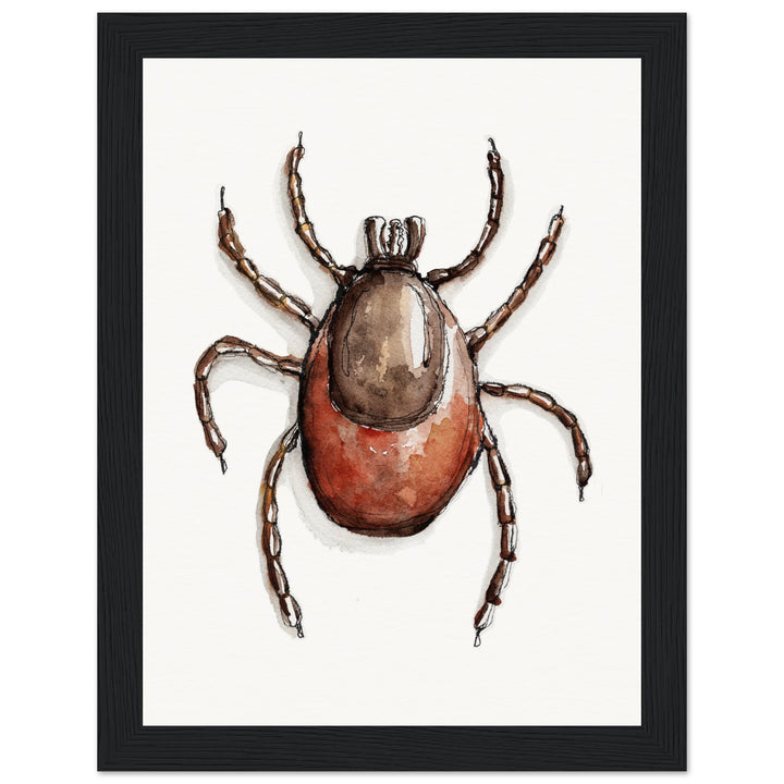 framed print of deer tick ixodes watercolor painting by ontogenie