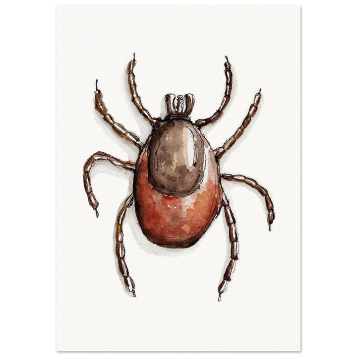 ixodes tick art print by ontogenie