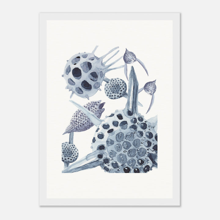 radiolaria watercolor painting framed print by ontogenie