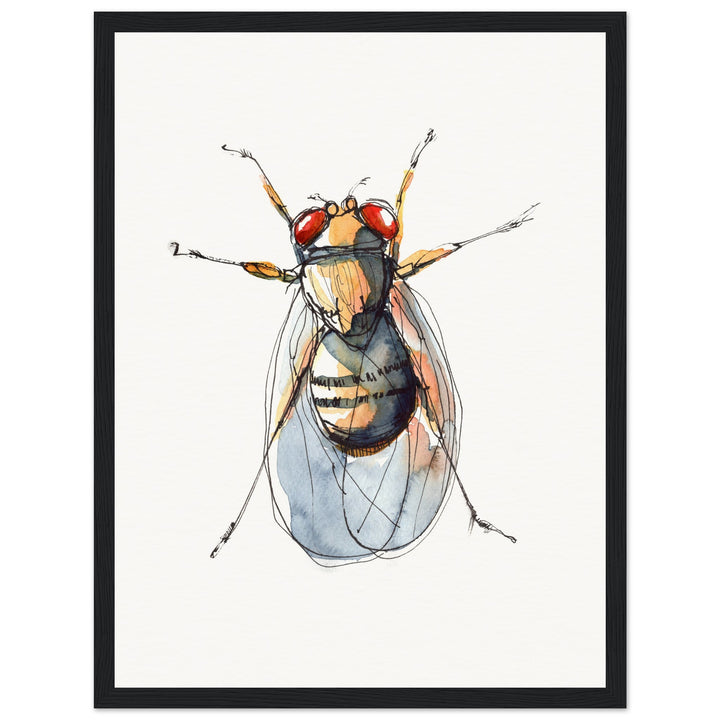 framed print of drosophila painting by ontogenie