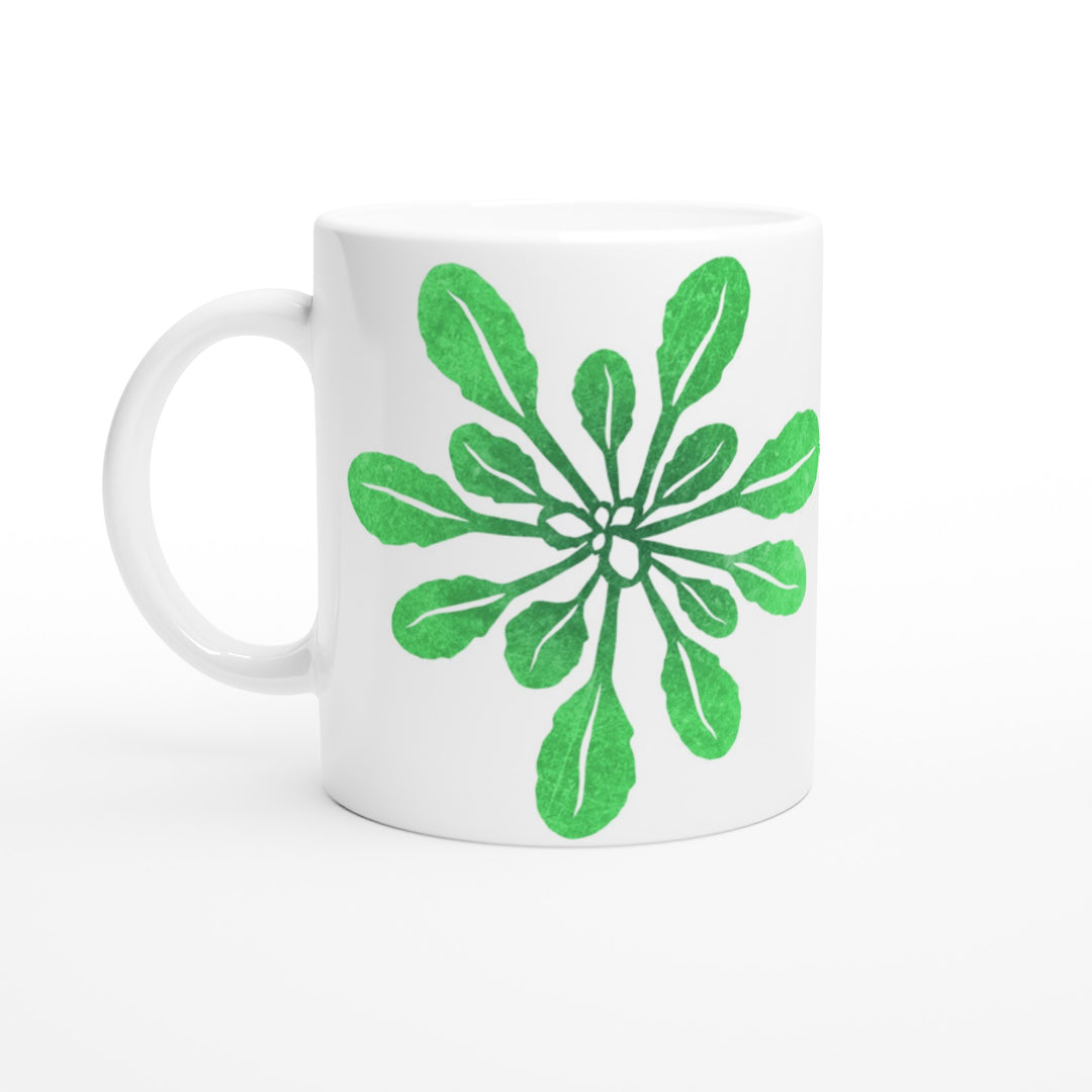 arabidopsis mug by ontogenie