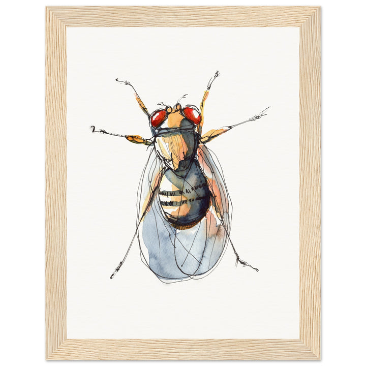 framed print of drosophila painting by ontogenie