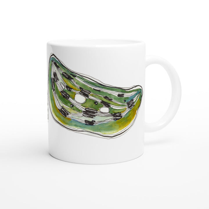 chloroplast plant biology mug by ontogenie