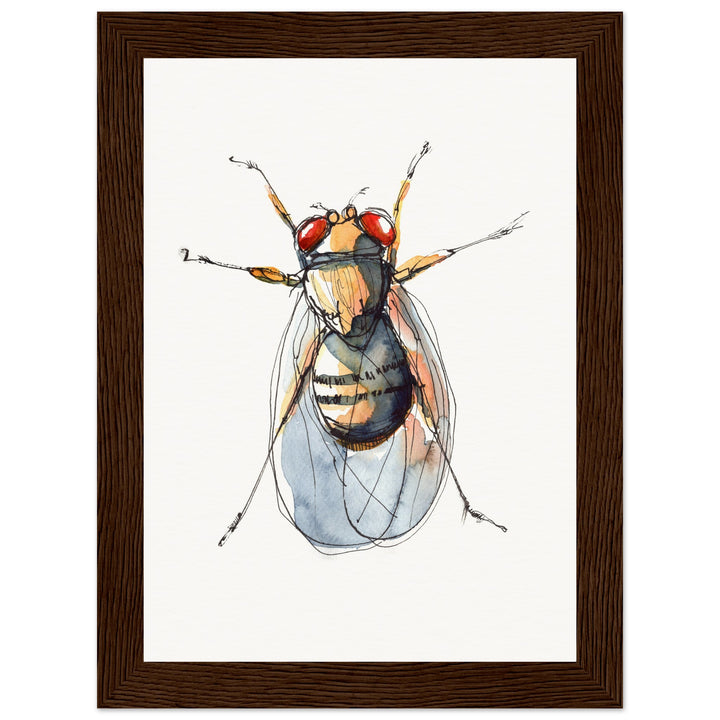framed print of drosophila painting by ontogenie