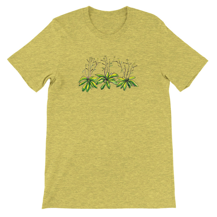 watercolor arabidopsis thaliana design on heather yellow tshirt by ontogenie