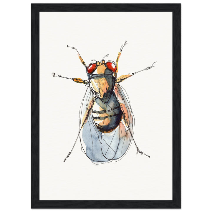 framed print of drosophila painting by ontogenie007db