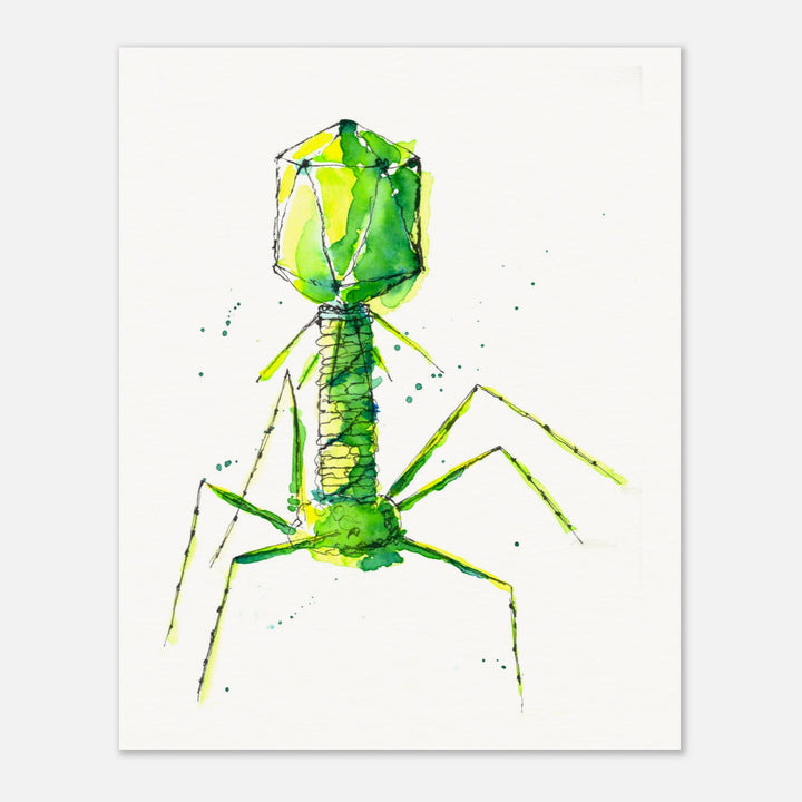 bacteriophage watercolor art print by ontogenie