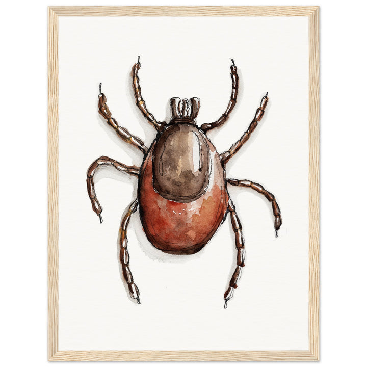 framed print of deer tick ixodes watercolor painting by ontogenie