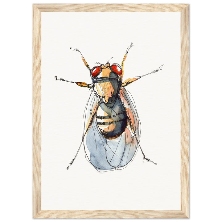 framed print of drosophila painting by ontogenie