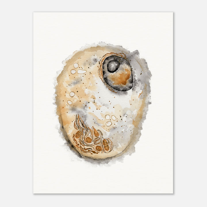 animal cell watercolor art print by ontogenie, gift for biologist or medical professional