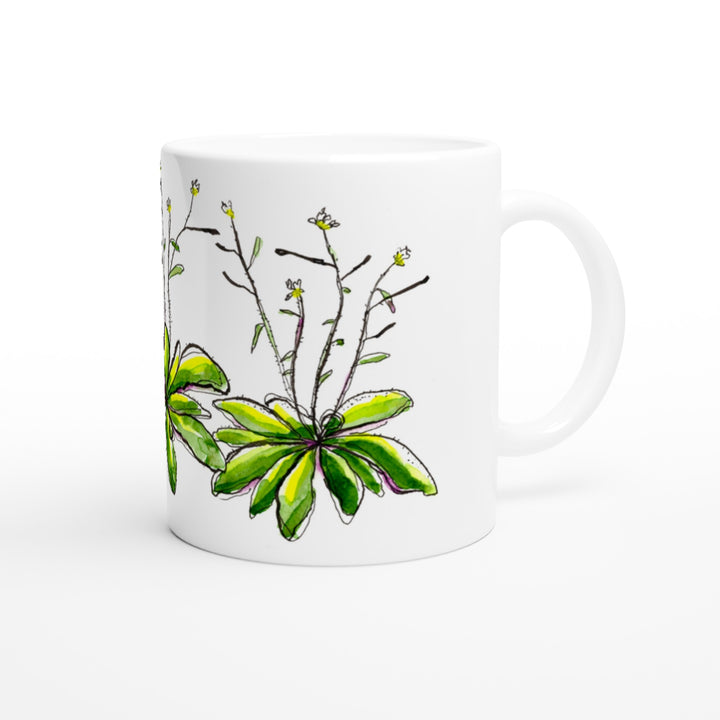 arabidopsis thaliana watercolor mug by ontogenie
