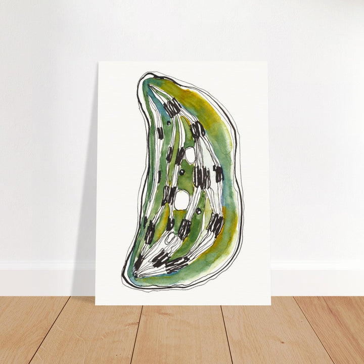 chloroplast art print by ontogenie