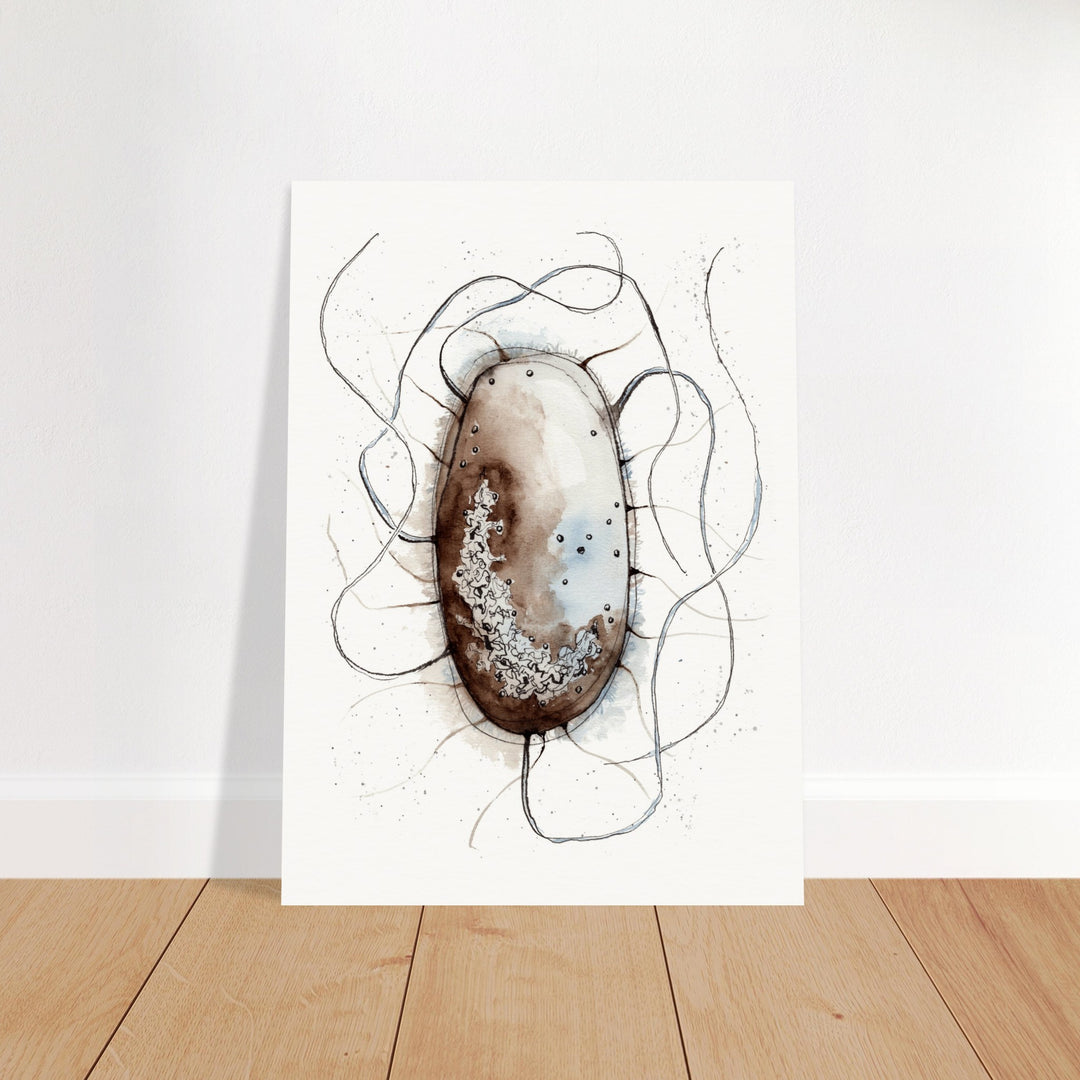 print of original watercolor painting of an E. coli bacterium by ontogenie