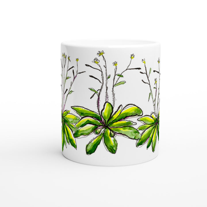 arabidopsis thaliana watercolor mug by ontogenie