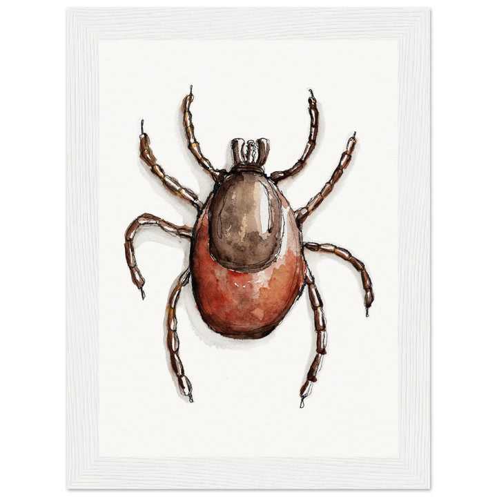 framed print of deer tick ixodes watercolor painting by ontogenie