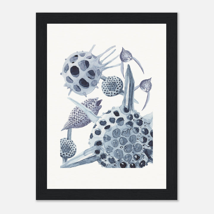 radiolaria watercolor painting framed print by ontogenie