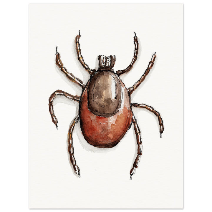 ixodes tick art print by ontogenie