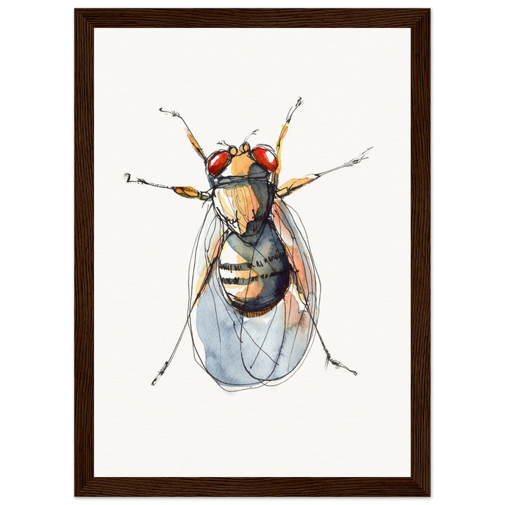 framed print of drosophila painting by ontogenie