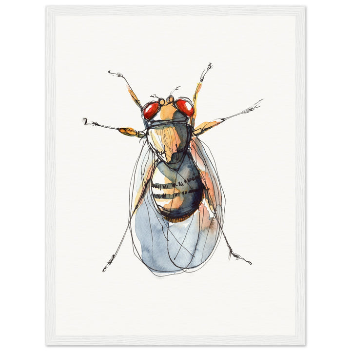 framed print of drosophila painting by ontogenie5f6
