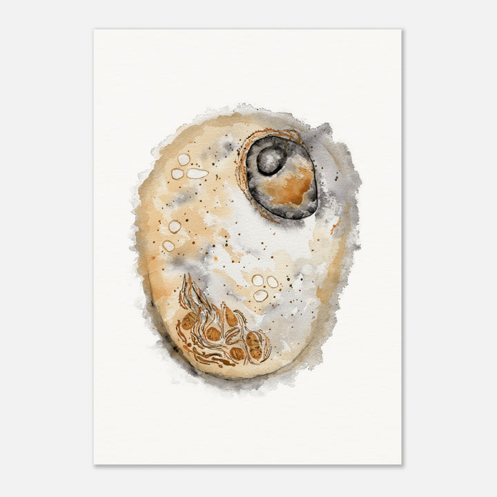 animal cell watercolor art print by ontogenie, gift for biologist or medical professional