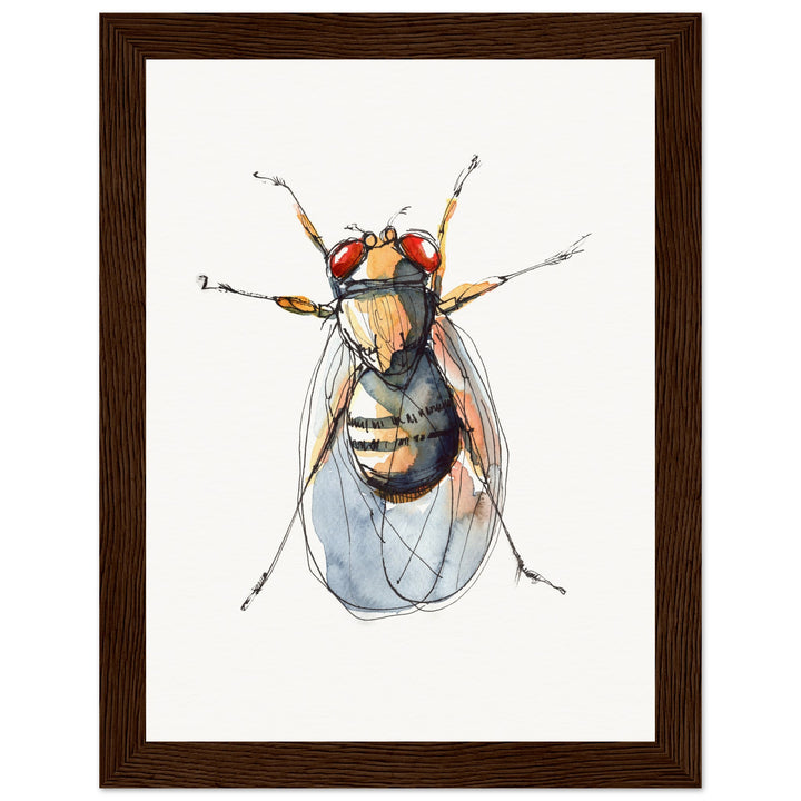 framed print of drosophila painting by ontogenie