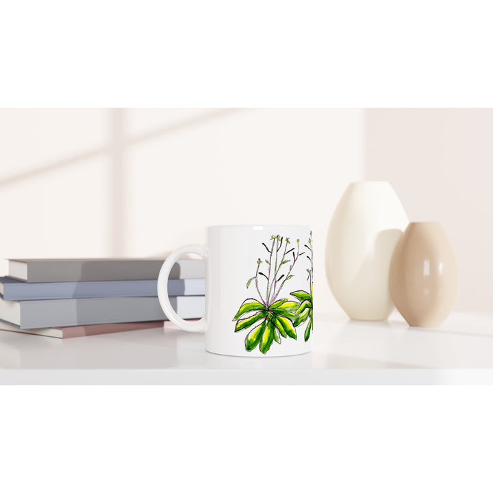 arabidopsis thaliana watercolor mug by ontogenie