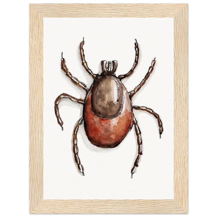 framed print of deer tick ixodes watercolor painting by ontogenie