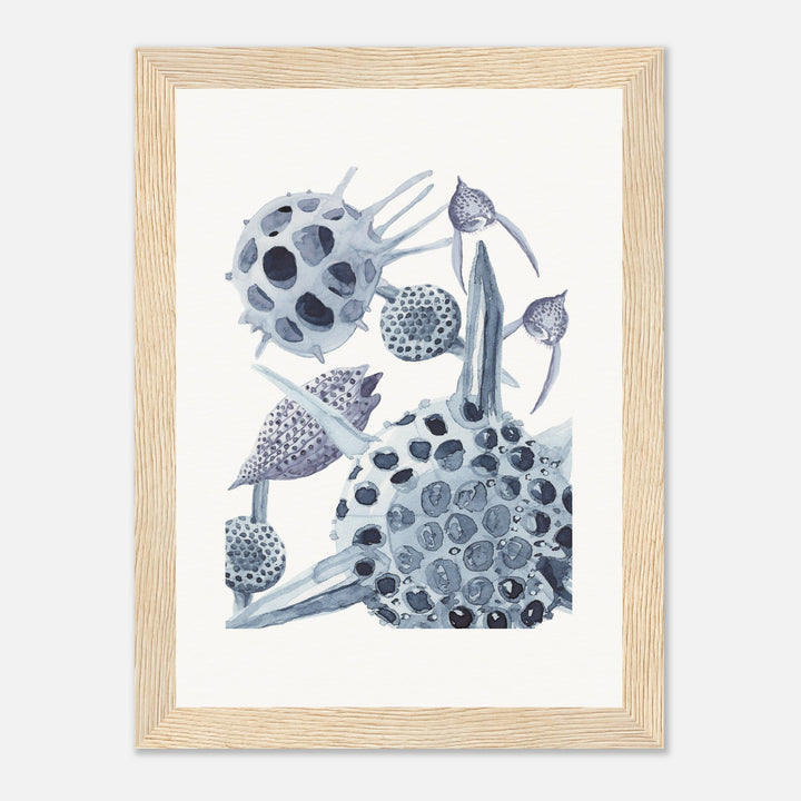 radiolaria watercolor painting framed print by ontogenie