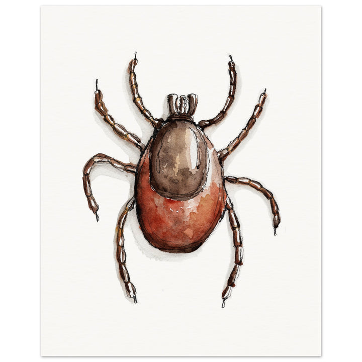 ixodes tick art print by ontogenie