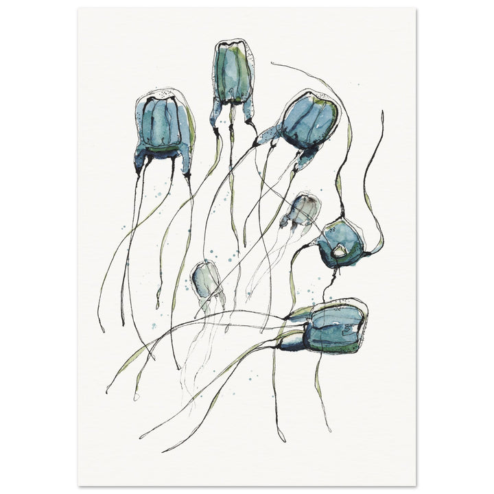 alatina box jellyfish watercolor art print by ontogenie