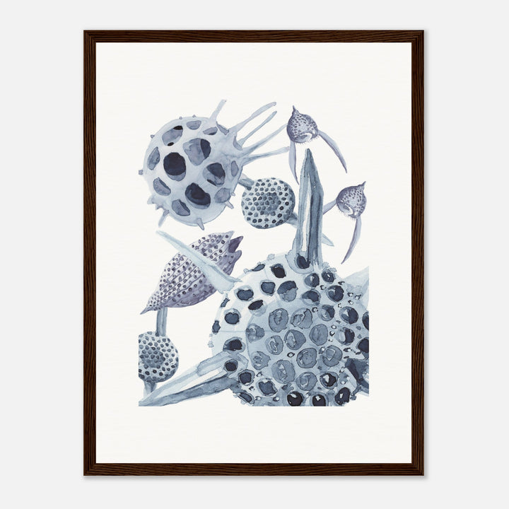 radiolaria watercolor painting framed print by ontogenie