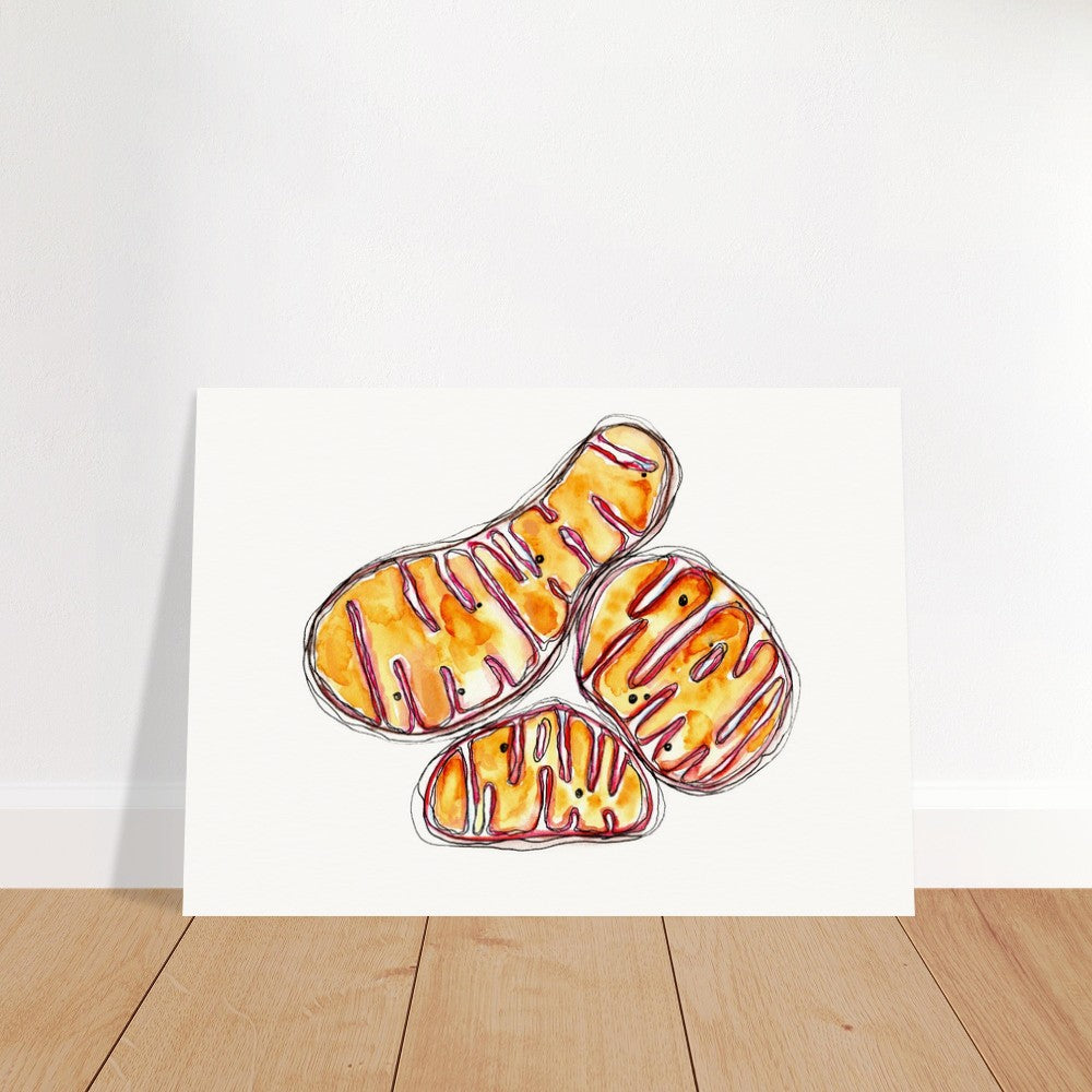 mitochondria art print by ontogenie