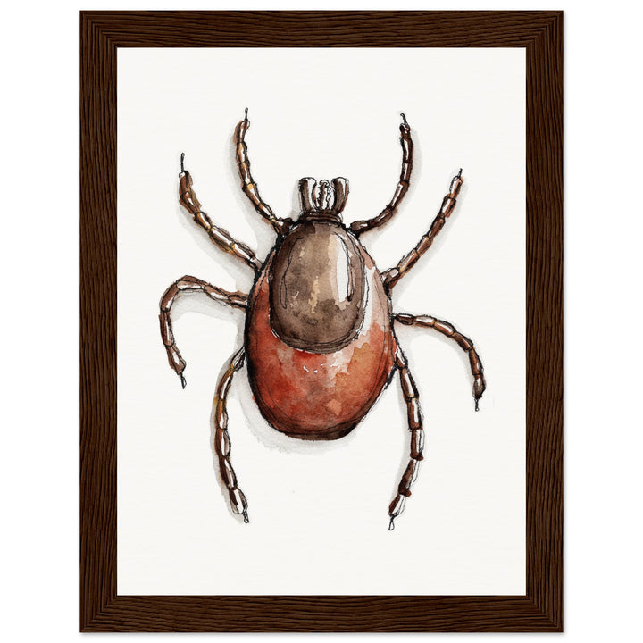 framed print of deer tick ixodes watercolor painting by ontogenie