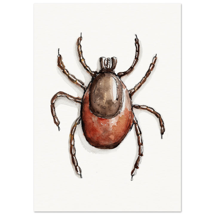 ixodes tick art print by ontogenie