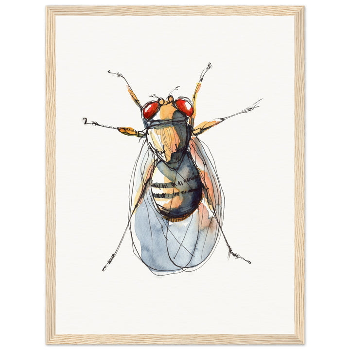 framed print of drosophila painting by ontogenie