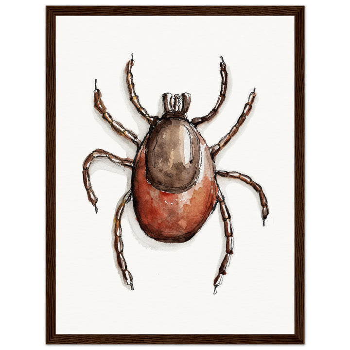 framed print of deer tick ixodes watercolor painting by ontogenie